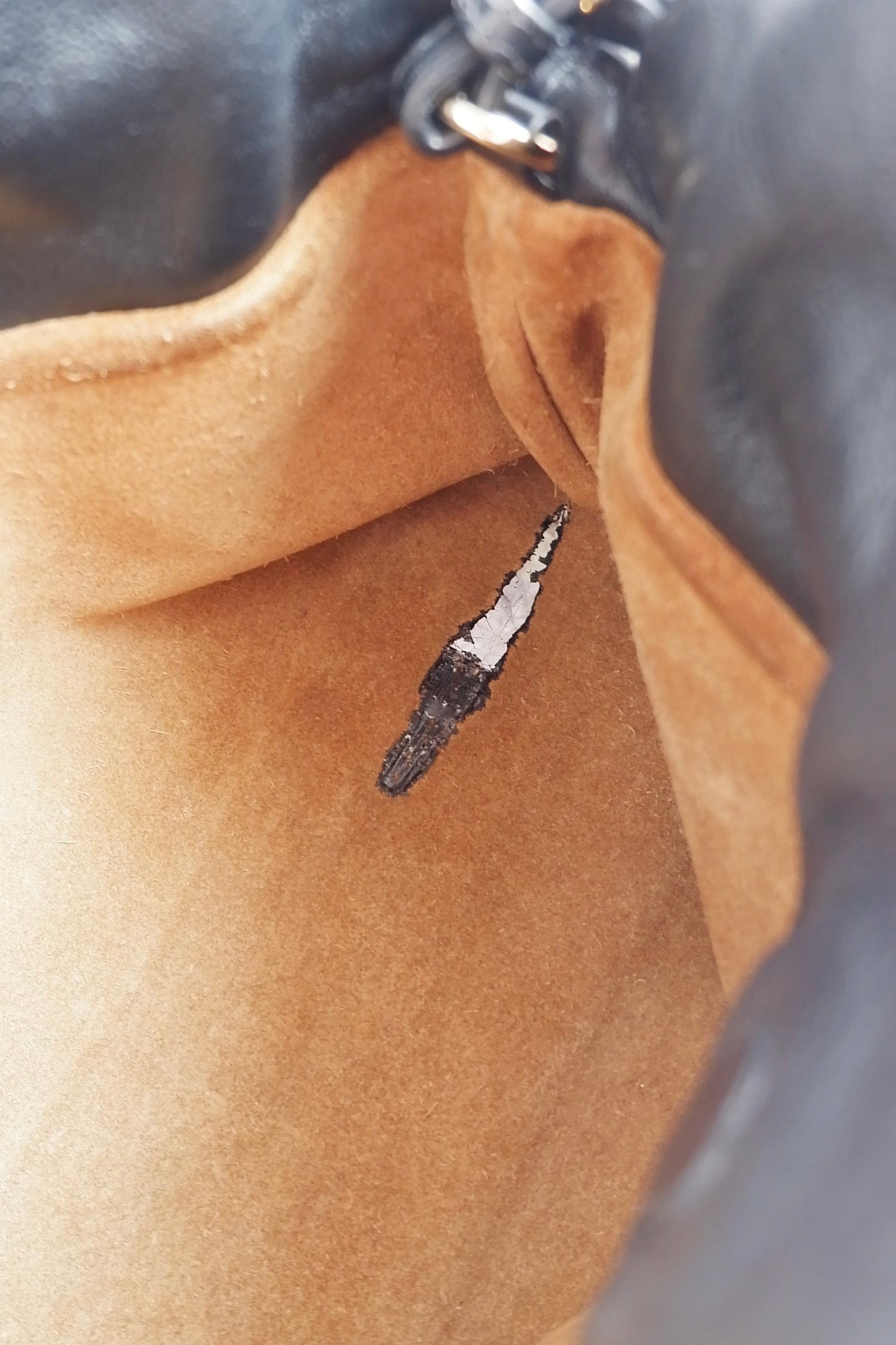 Authentic Preowned Loewe Black Leather Flamenco Knot Clutch/ Crossbody Bag