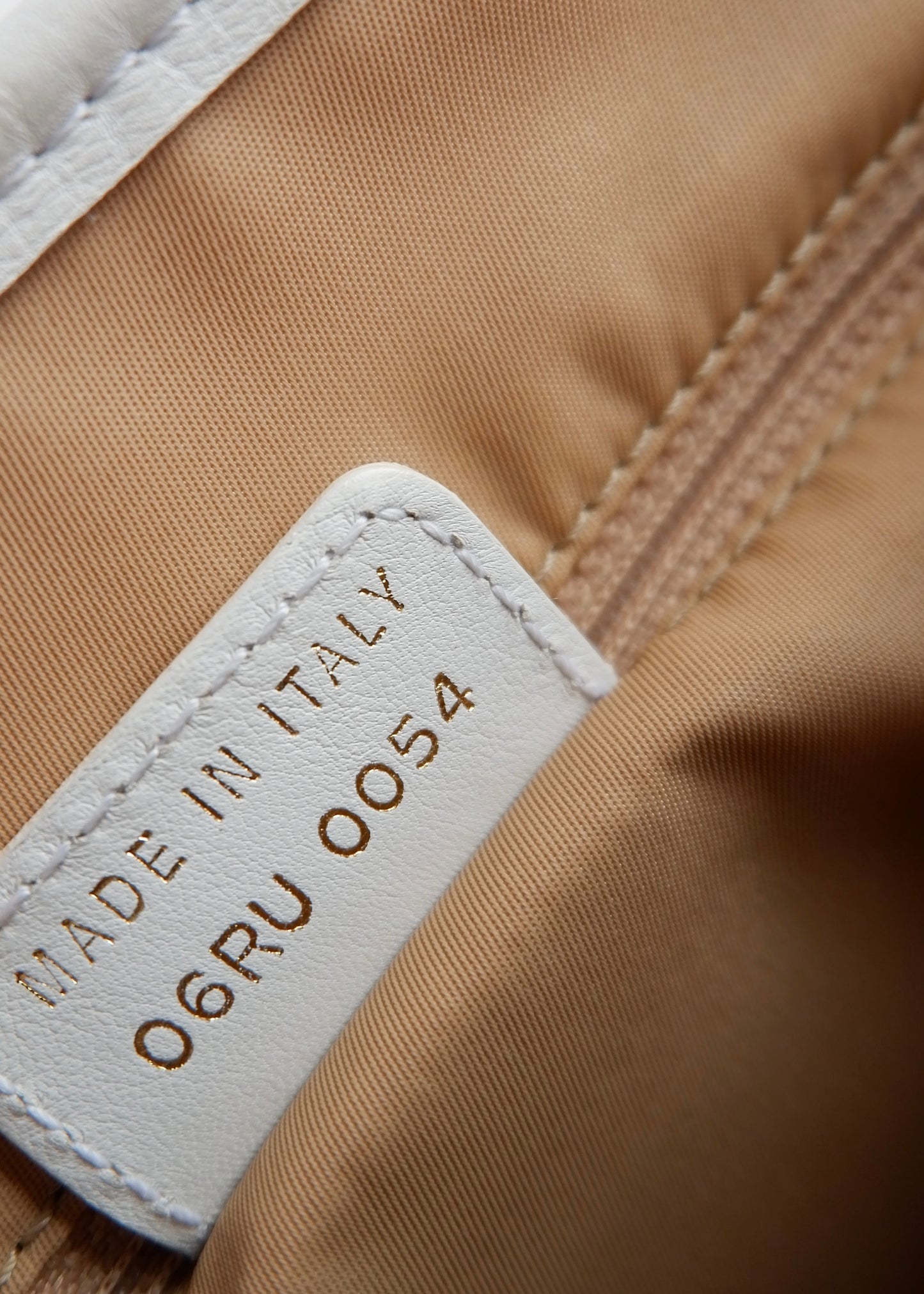 Authentic Preowned Dior Champagne Sparkle Trotter Tote Bag