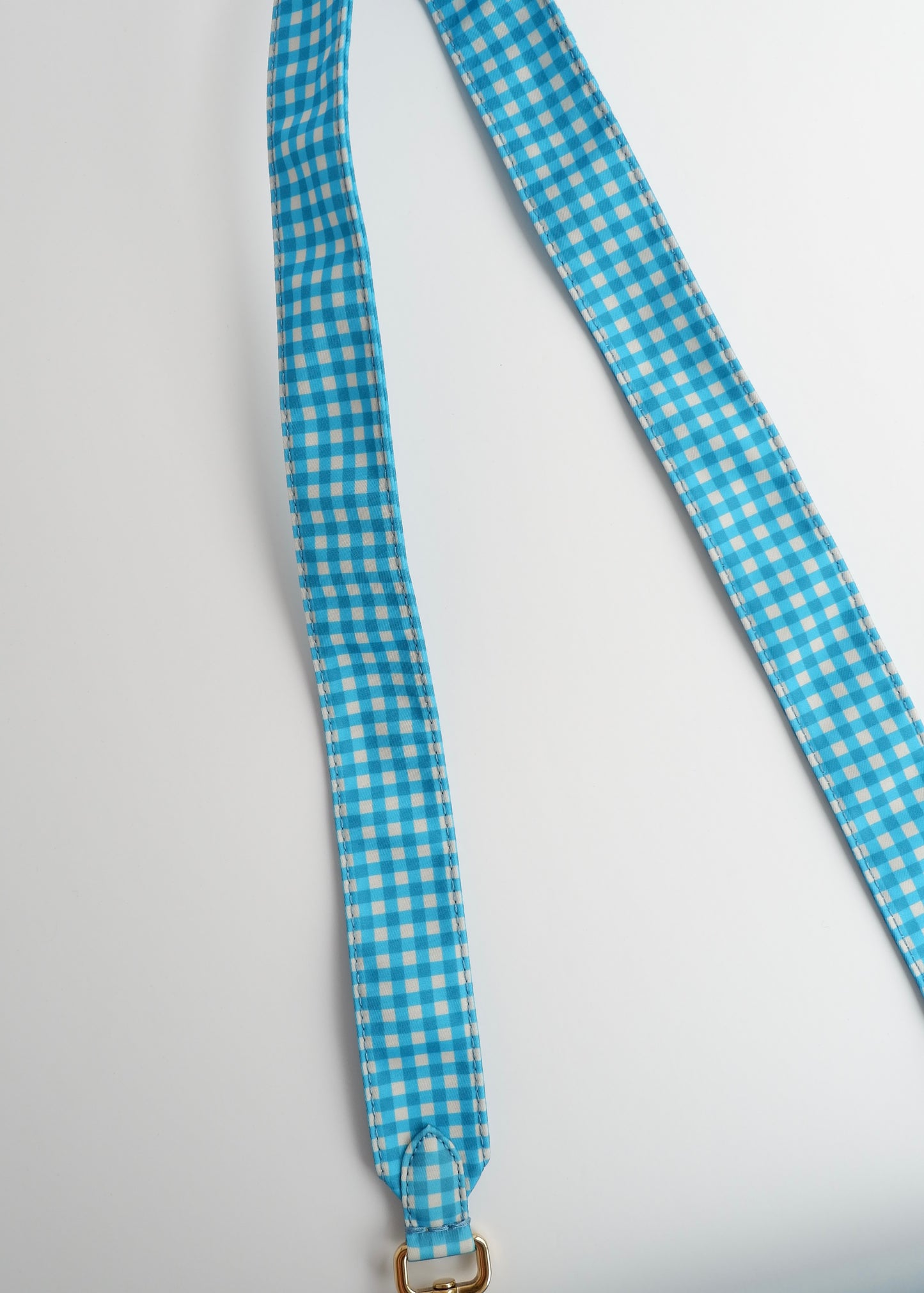 Authentic Preowned Fendi Blue Gingham Nylon Two Way Bag