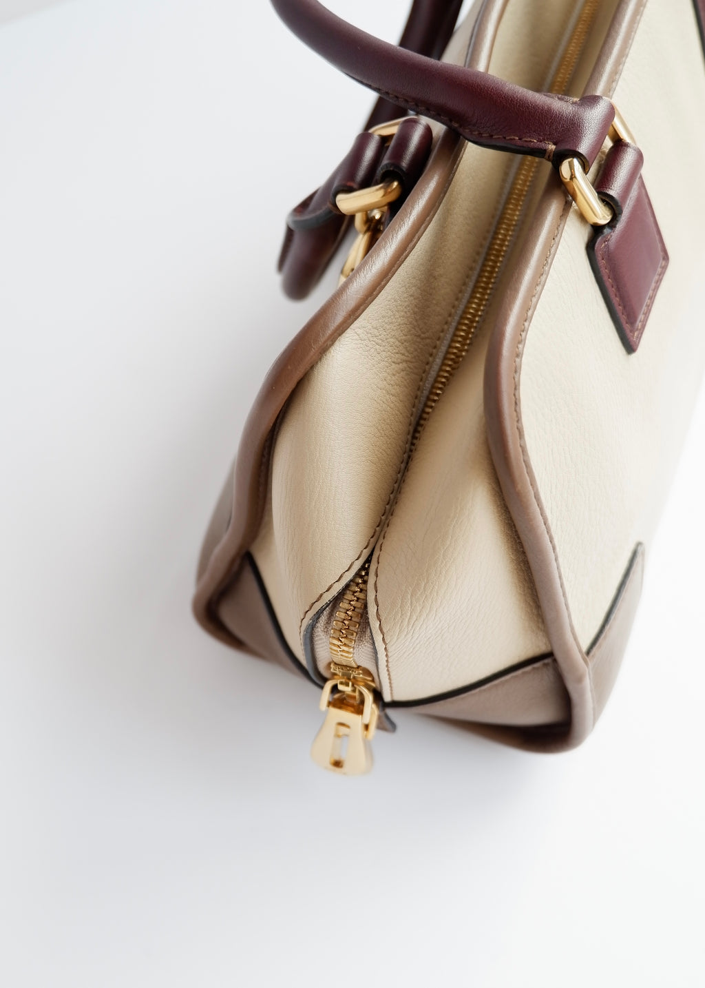Authentic Preowned Loewe Tricolor (Beige/Brown/Burgundy) Leather Amazona 28 Handbag GHW